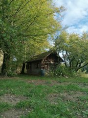 Naturkindergarten Apfelbaum-5.jpg